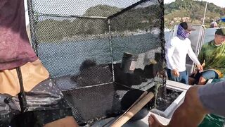 Jaco, Коста-Рика, рыбалка у берега с Someday Travel