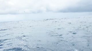 Jaco, Costa Rica, семейная рыбалка и туна — как удержать трофей на тонкой плетёнке