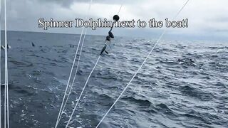 Jaco, Costa Rica, семейная рыбалка и туна — как удержать трофей на тонкой плетёнке