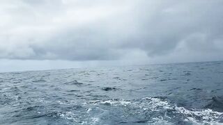 Jaco, Costa Rica, семейная рыбалка и туна — как удержать трофей на тонкой плетёнке