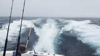 Jaco, Costa Rica, семейная рыбалка и туна — как удержать трофей на тонкой плетёнке