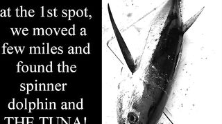 Jaco, Costa Rica, семейная рыбалка и туна — как удержать трофей на тонкой плетёнке