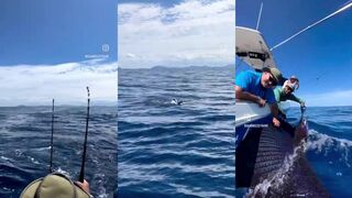 Tamarindo — sport fishing: морская рыбалка на чартере и выбор снастей