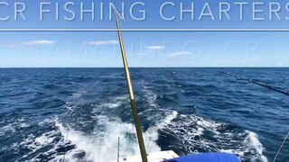 Yellowfin у Tamarindo — морская рыбалка на троллинг и кастинг