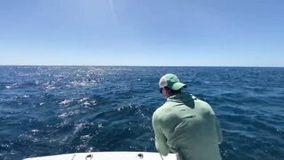 Yellowfin у Tamarindo — морская рыбалка на троллинг и кастинг