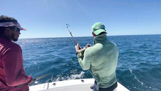 Yellowfin у Tamarindo — морская рыбалка на троллинг и кастинг