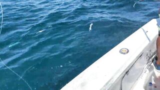 Yellowfin у Tamarindo — морская рыбалка на троллинг и кастинг