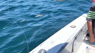 Yellowfin у Tamarindo — морская рыбалка на троллинг и кастинг