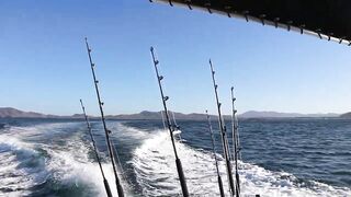 Tamarindo, Costa Rica — offshore: морская рыбалка на парусника и махи