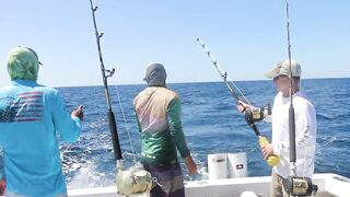 Tamarindo, Costa Rica — offshore: морская рыбалка на парусника и махи