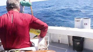 Tamarindo, Costa Rica — offshore: морская рыбалка на парусника и махи