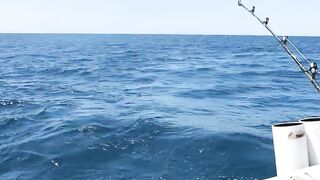 Tamarindo, Costa Rica — offshore: морская рыбалка на парусника и махи