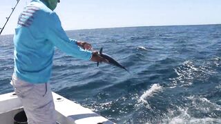 Tamarindo, Costa Rica — offshore: морская рыбалка на парусника и махи