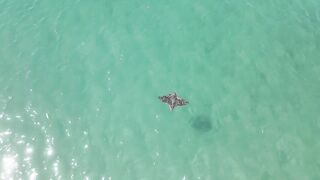 Epic beach trip - первый выход без лодки у Playa Flamingo и уверенная поклёвка