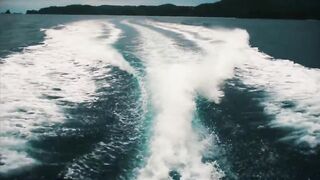 Playa Flamingo спорт-чартер — морская рыбалка на махи и парусника