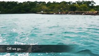 Playa Flamingo спорт-чартер — морская рыбалка на махи и парусника