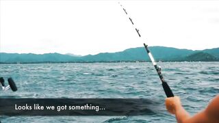 Playa Flamingo спорт-чартер — морская рыбалка на махи и парусника