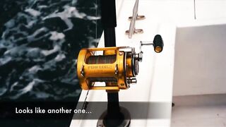 Playa Flamingo спорт-чартер — морская рыбалка на махи и парусника