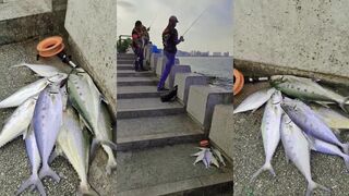 Padang Kota Lama, Penang, улётный клёв вечером — рыбалка у набережной