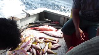 Kota Kinabalu Trip 2013: морская рыбалка на 7Star3 — что брало