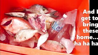 Kota Kinabalu Trip 2013: морская рыбалка на 7Star3 — что брало