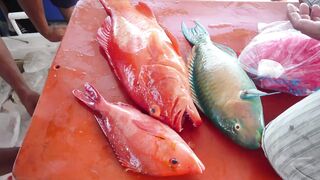 Kota Kinabalu Trip 2013: морская рыбалка на 7Star3 — что брало