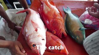 Kota Kinabalu Trip 2013: морская рыбалка на 7Star3 — что брало