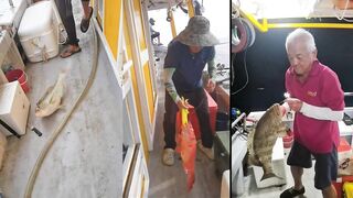 Kota Kinabalu морская рыбалка в Южно-Китайском море на выходных