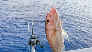 Kota Kinabalu морская рыбалка в Южно-Китайском море на выходных