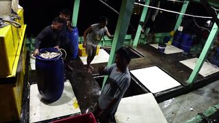 Kota Kinabalu рыбный рынок и доки для лодок где посмотреть и что с рыбой