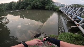 Tarpon на Bulan морская рыбалка в Kota Kinabalu ночью под светом мостков