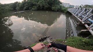 Tarpon на Bulan морская рыбалка в Kota Kinabalu ночью под светом мостков