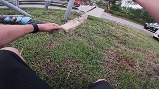 Tarpon на Bulan морская рыбалка в Kota Kinabalu ночью под светом мостков