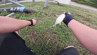 Tarpon на Bulan морская рыбалка в Kota Kinabalu ночью под светом мостков