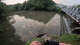 Tarpon на Bulan морская рыбалка в Kota Kinabalu ночью под светом мостков