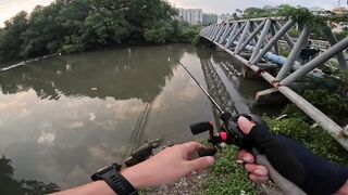 Tarpon на Bulan морская рыбалка в Kota Kinabalu ночью под светом мостков