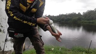 UL-BFS по тарпону: морская рыбалка в Kota Kinabalu на микроджиг