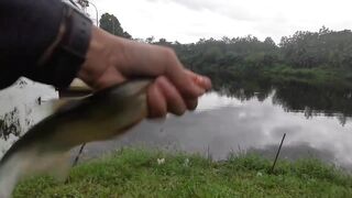 UL-BFS по тарпону: морская рыбалка в Kota Kinabalu на микроджиг