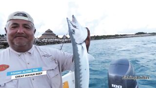 Playa del Carmen: морская рыбалка в сезон — что нужно знать