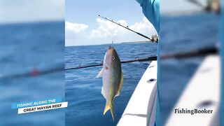 Playa del Carmen: морская рыбалка в сезон — что нужно знать