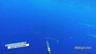 Playa del Carmen: морская рыбалка в сезон — что нужно знать