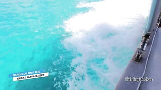 Playa del Carmen: морская рыбалка в сезон — что нужно знать