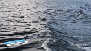 Playa del Carmen: морская рыбалка в сезон — что нужно знать