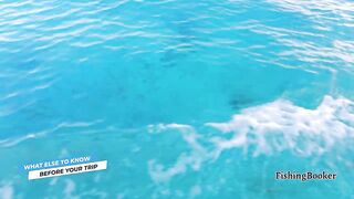 Playa del Carmen: морская рыбалка в сезон — что нужно знать