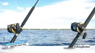 Playa del Carmen: морская рыбалка в сезон — что нужно знать