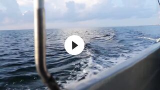 Playa del Carmen: морская рыбалка в сезон — что нужно знать