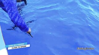 Playa del Carmen: морская рыбалка в сезон — что нужно знать