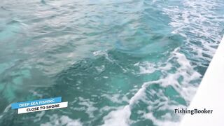 Playa del Carmen: морская рыбалка в сезон — что нужно знать