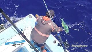 Playa del Carmen: морская рыбалка в сезон — что нужно знать