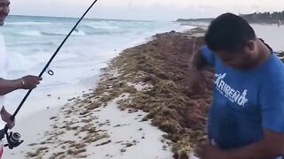 Playa del Carmen, выход без лодки — рыбалка по волне и свалам